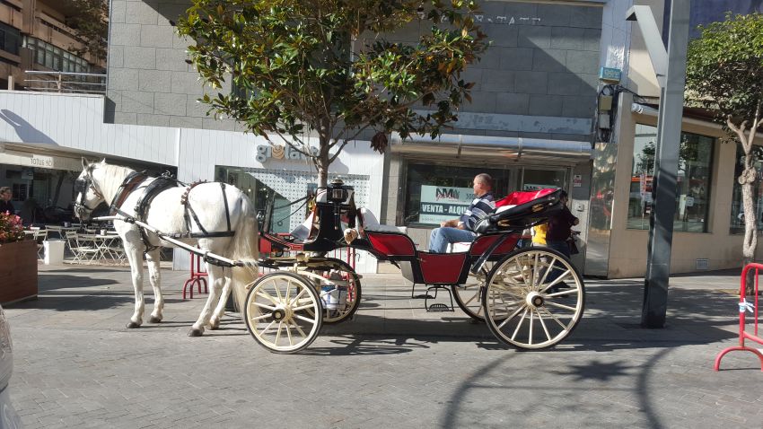 Pferdekutsche im Zentrum von Marbella